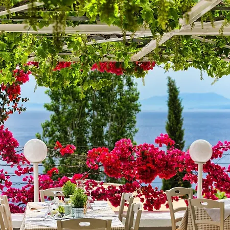 中庭酒店 Platanias (Skiathos)